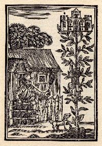 [engraving of Jack & Beanstalk]